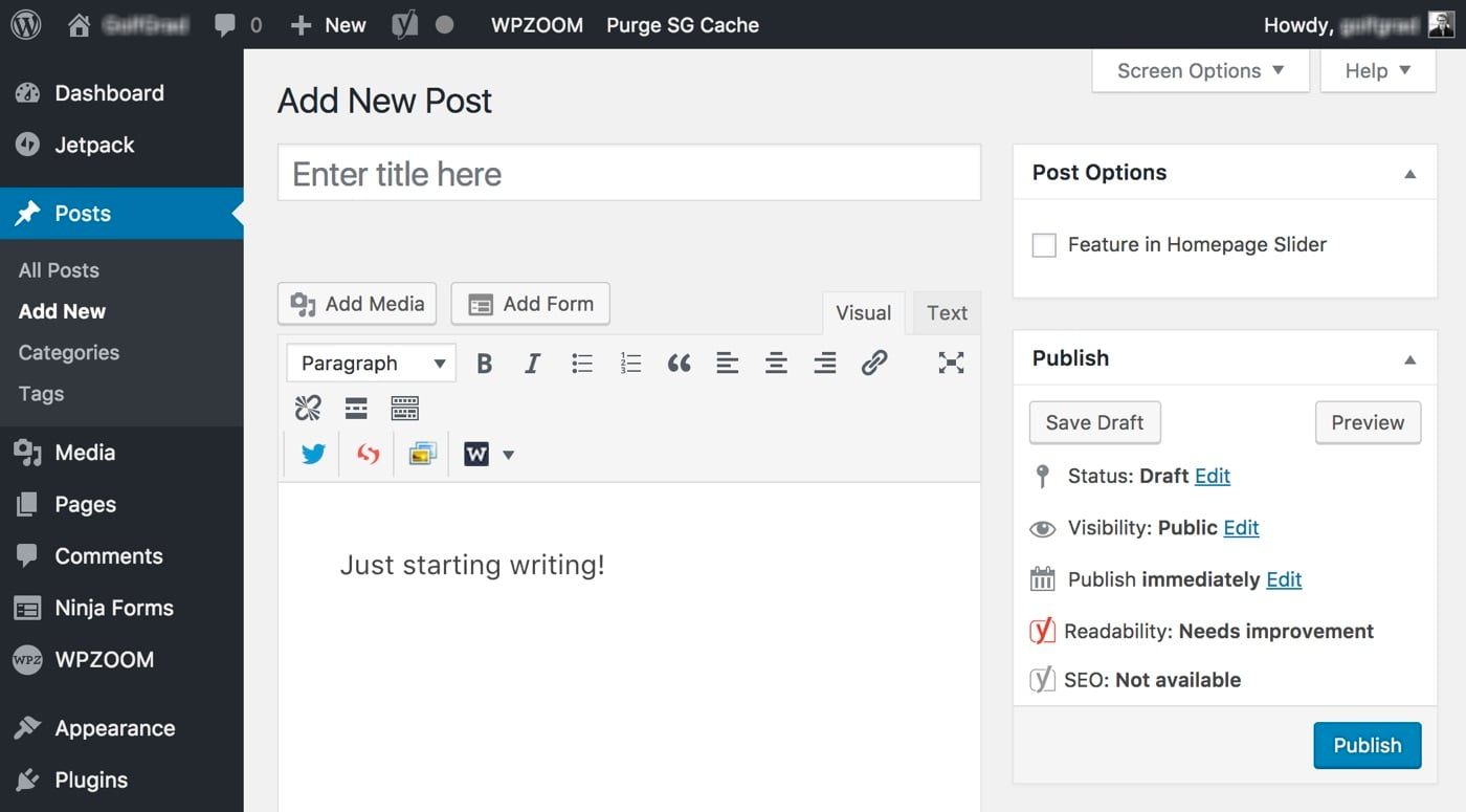 launch your WordPress blog